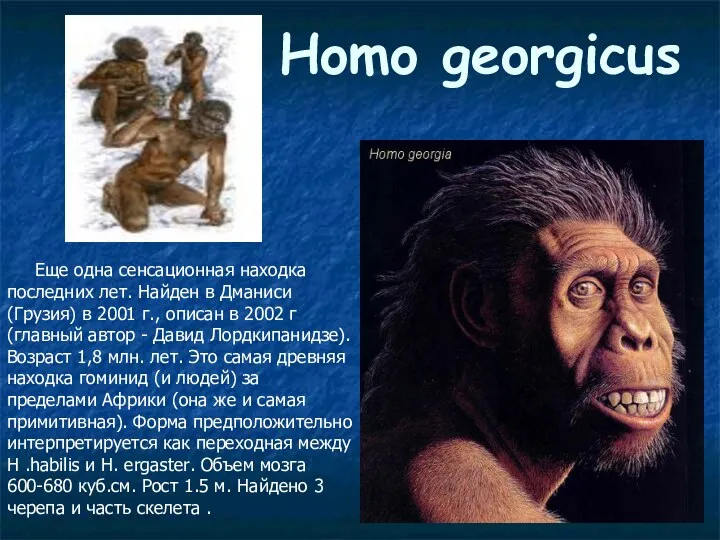 Homo georgicus Еще одна сенсационная находка последних лет. Найден в Дманиси (Грузия) в