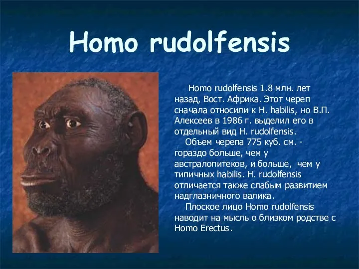 Homo rudolfensis Homo rudolfensis 1.8 млн. лет назад, Вост. Африка. Этот череп сначала