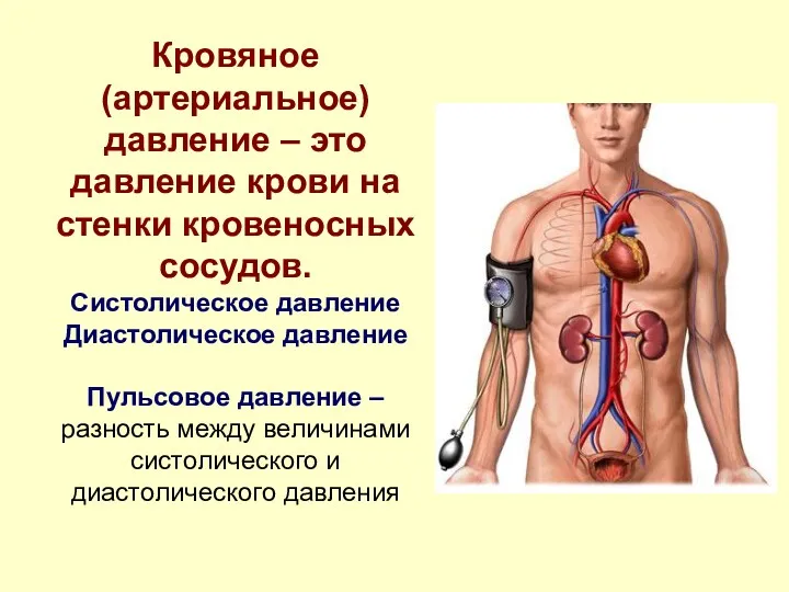 Кровяное (артериальное) давление – это давление крови на стенки кровеносных сосудов. Систолическое давление
