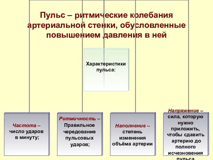 Пульс – ритмические колебания артериальной стенки, обусловленные повышением давления в ней