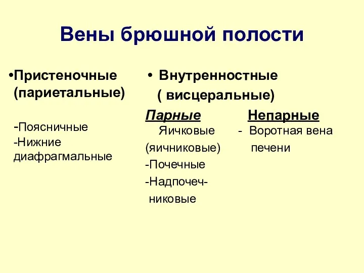 Вены брюшной полости Внутренностные ( висцеральные) Парные Непарные Яичковые - Воротная вена (яичниковые)