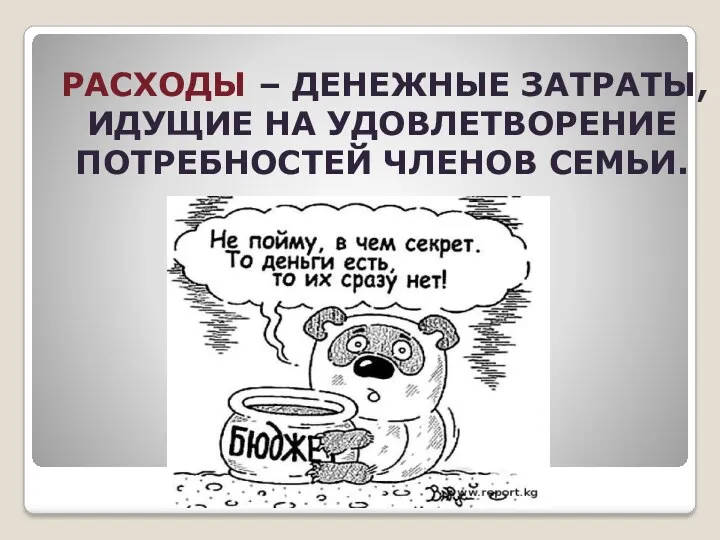 РАСХОДЫ – ДЕНЕЖНЫЕ ЗАТРАТЫ, ИДУЩИЕ НА УДОВЛЕТВОРЕНИЕ ПОТРЕБНОСТЕЙ ЧЛЕНОВ СЕМЬИ.