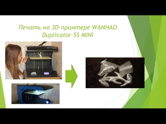 Печать на 3D-принтере WANHAO Duplicator 5S MINI