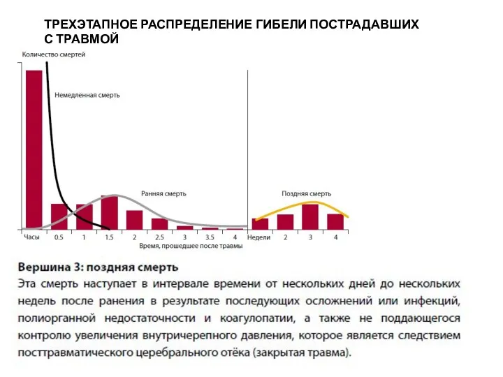 ТРЕХЭТАПНОЕ РАСПРЕДЕЛЕНИЕ ГИБЕЛИ ПОСТРАДАВШИХ С ТРАВМОЙ