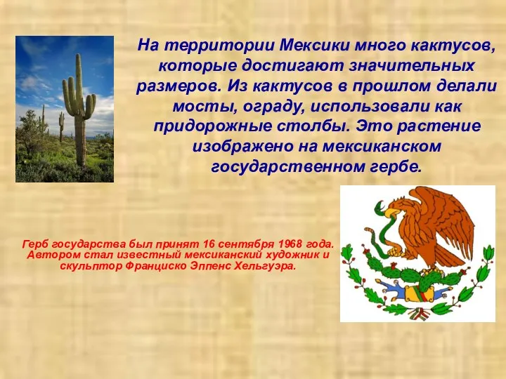 На территории Мексики много кактусов, которые достигают значительных размеров. Из кактусов в прошлом