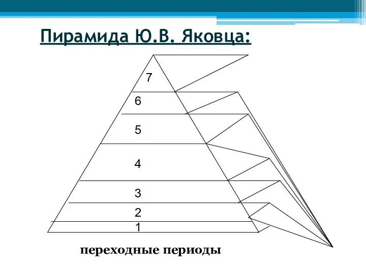 Пирамида Ю.В. Яковца: переходные периоды 2 1 4 3 6 5 7