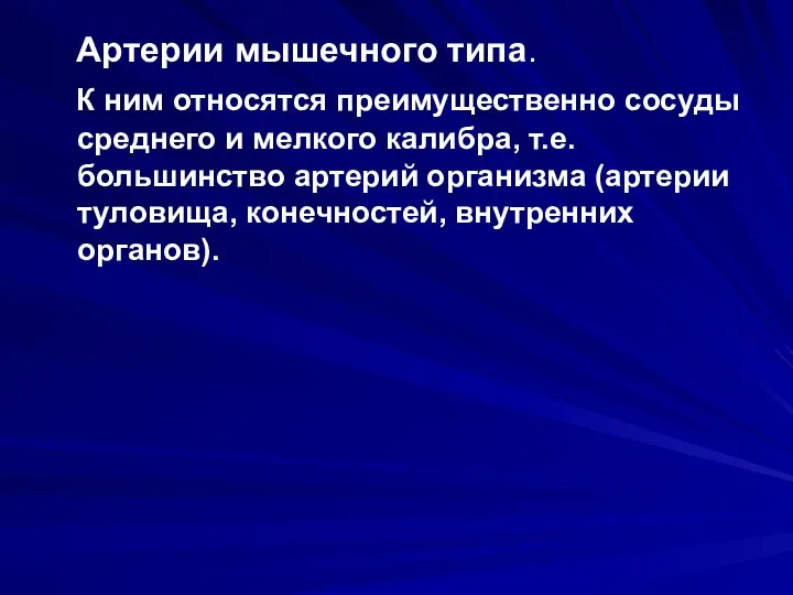 Артерии мышечного типа. К ним относятся преимущественно сосуды среднего и мелкого калибра, т.е.