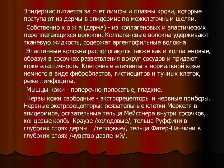 Эпидермис питается за счет лимфы и плазмы крови, которые поступают