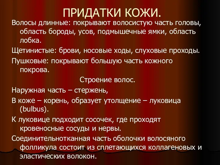 Волосы длинные: покрывают волосистую часть головы, область бороды, усов, подмышечные