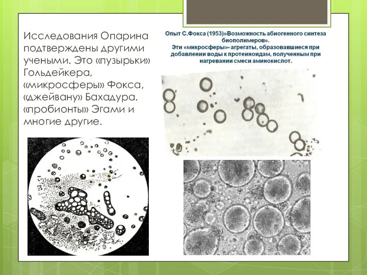 Исследования Опарина подтверждены другими учеными. Это «пузырьки» Гольдейкера, «микросферы» Фокса,