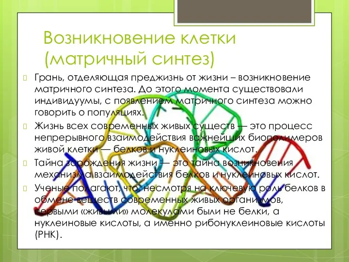 Возникновение клетки (матричный синтез) Грань, отделяющая преджизнь от жизни –