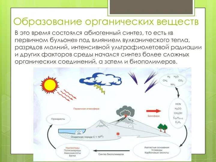 Образование органических веществ В это время состоялся абиогенный синтез, то