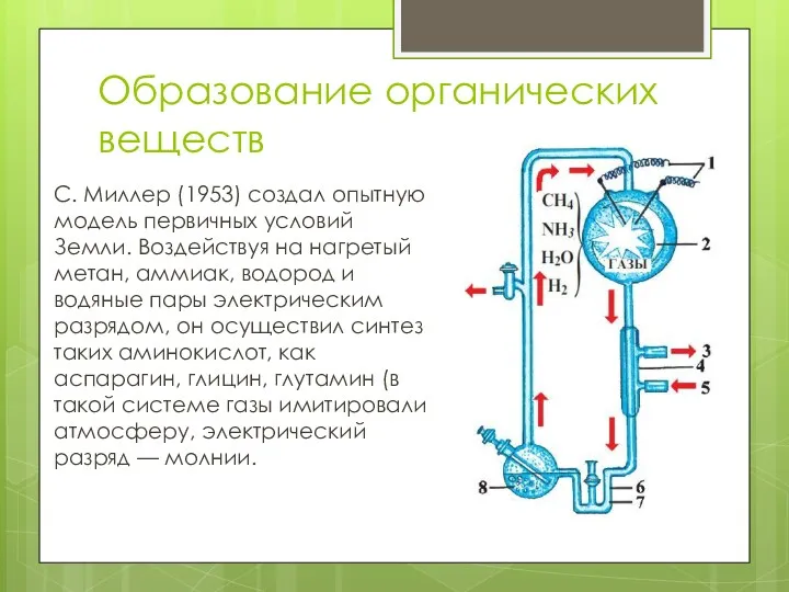 Образование органических веществ С. Миллер (1953) создал опытную модель первичных