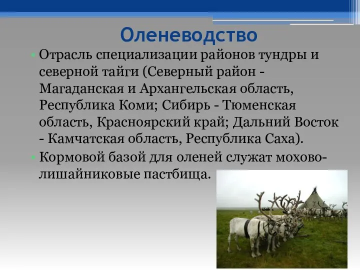 Оленеводство Отрасль специализации районов тундры и северной тайги (Северный район