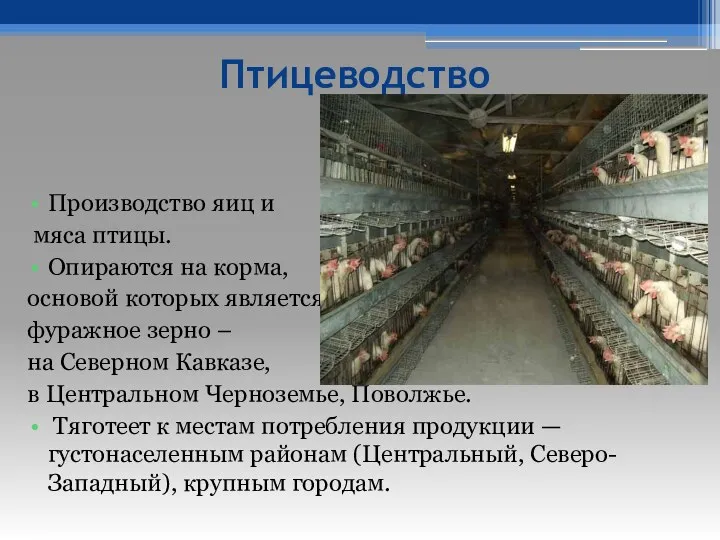 Птицеводство Производство яиц и мяса птицы. Опираются на корма, основой