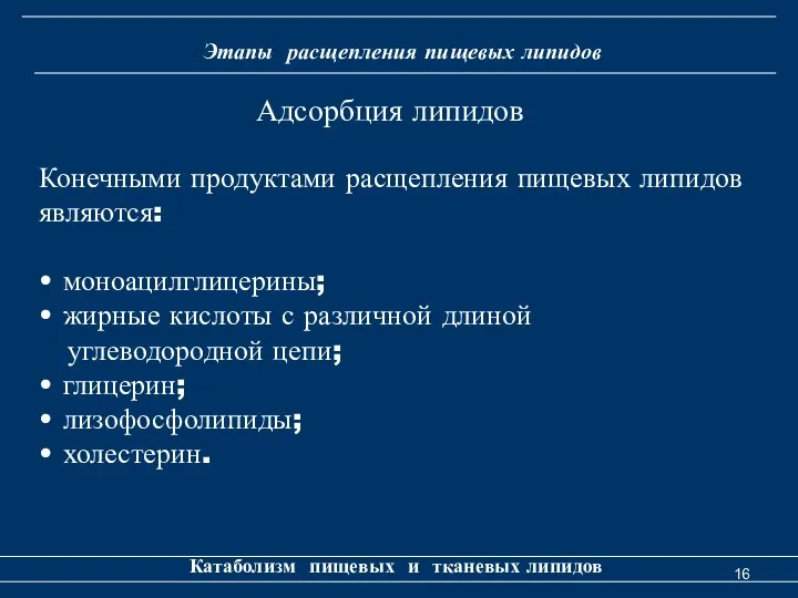 Этапы расщепления пищевых липидов Катаболизм пищевых и тканевых липидов Конечными