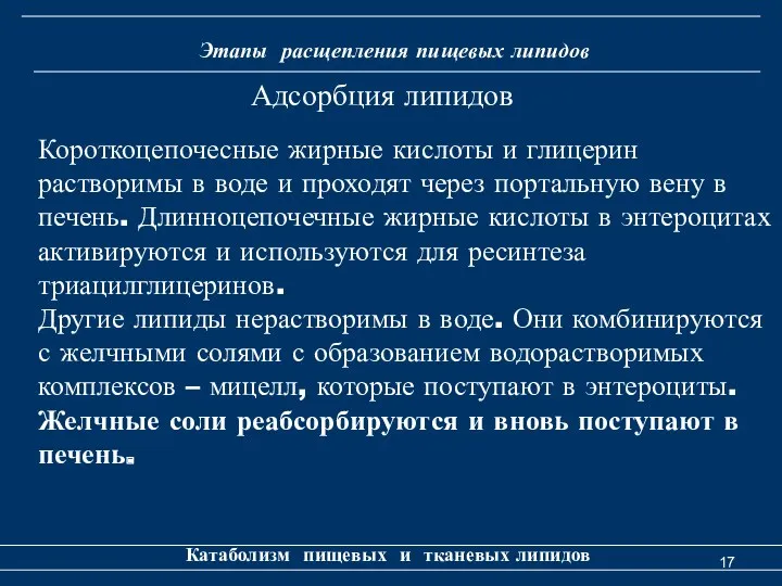 Этапы расщепления пищевых липидов Катаболизм пищевых и тканевых липидов Короткоцепочесные