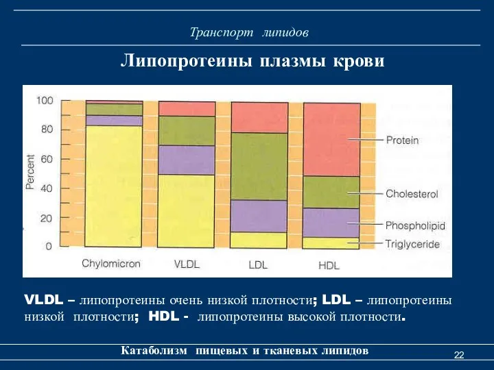 Транспорт липидов Катаболизм пищевых и тканевых липидов Липопротеины плазмы крови