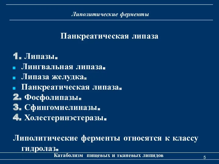 Липолитические ферменты Катаболизм пищевых и тканевых липидов Панкреатическая липаза 1.