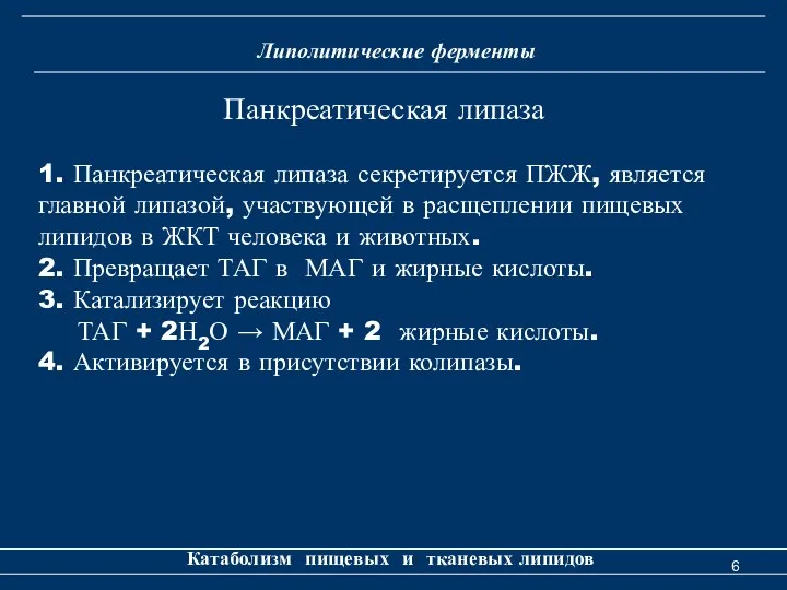 Липолитические ферменты Катаболизм пищевых и тканевых липидов 1. Панкреатическая липаза