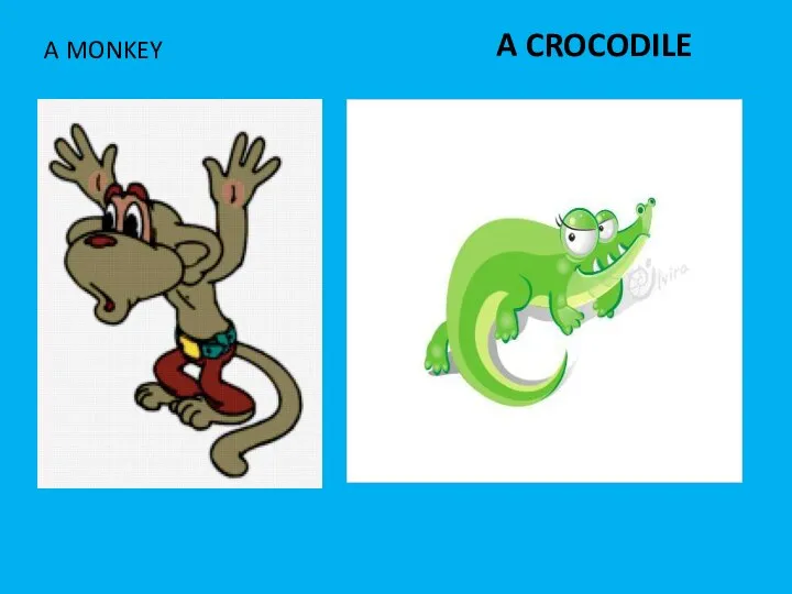A CROCODILE A MONKEY
