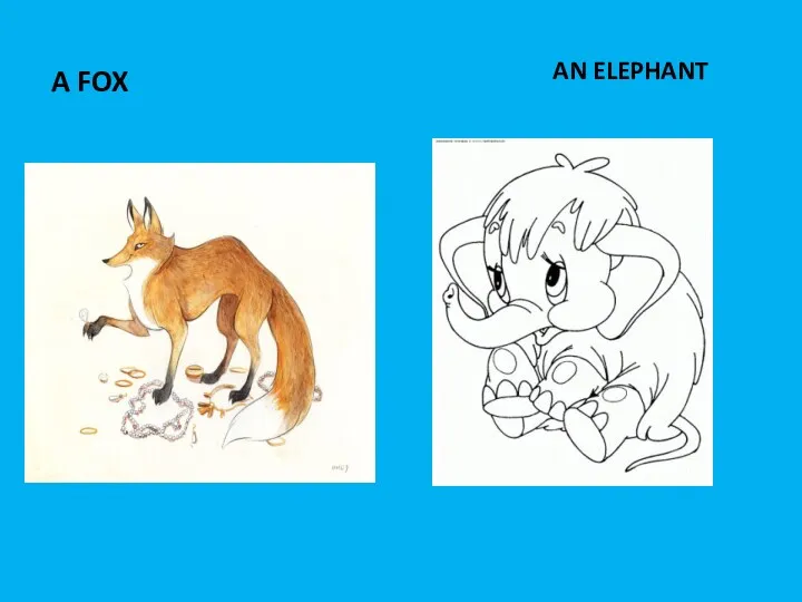 AN ELEPHANT A FOX