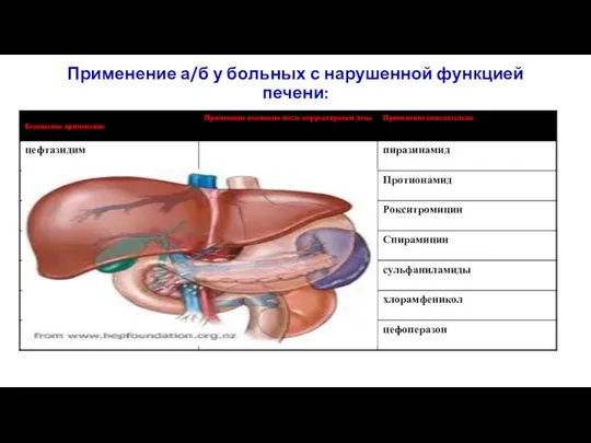 Применение а/б у больных с нарушенной функцией печени: