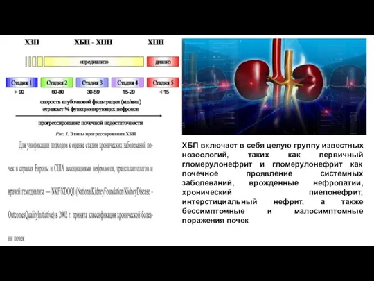 ХБП включает в себя целую группу известных нозоологий, таких как