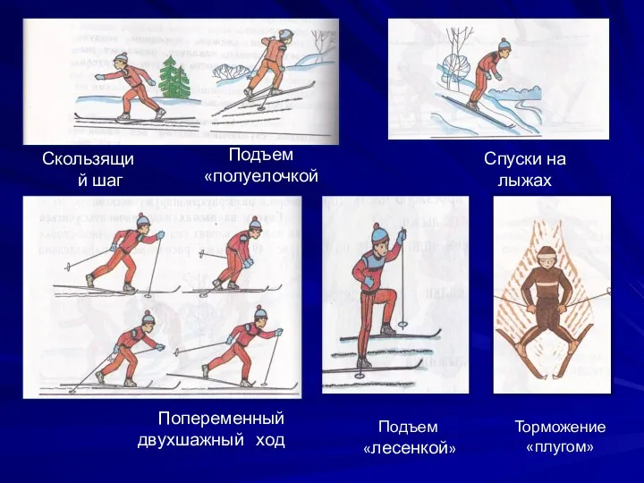 Подъем «лесенкой» Спуски на лыжах Подъем «полуелочкой» Скользящий шаг Попеременный двухшажный ход Торможение «плугом»