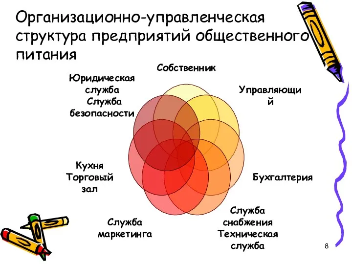 Организационно-управленческая структура предприятий общественного питания