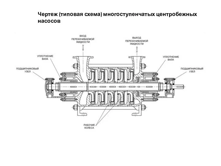 Чертеж (типовая схема) многоступенчатых центробежных насосов