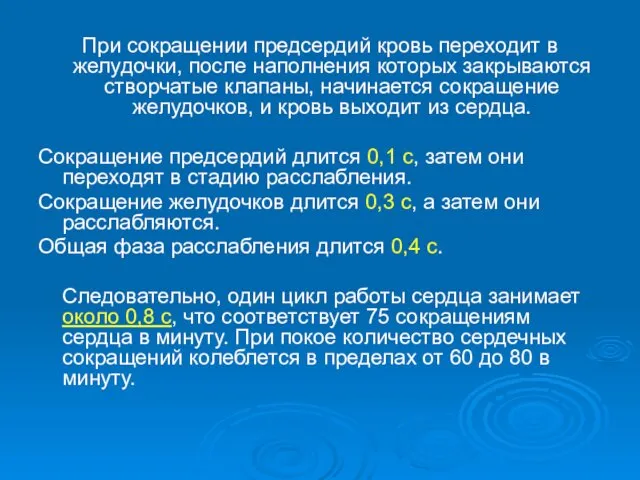 При сокращении предсердий кровь переходит в желудочки, после наполнения которых