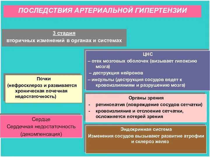 3 стадия вторичных изменений в органах и системах Почки (нефросклероз