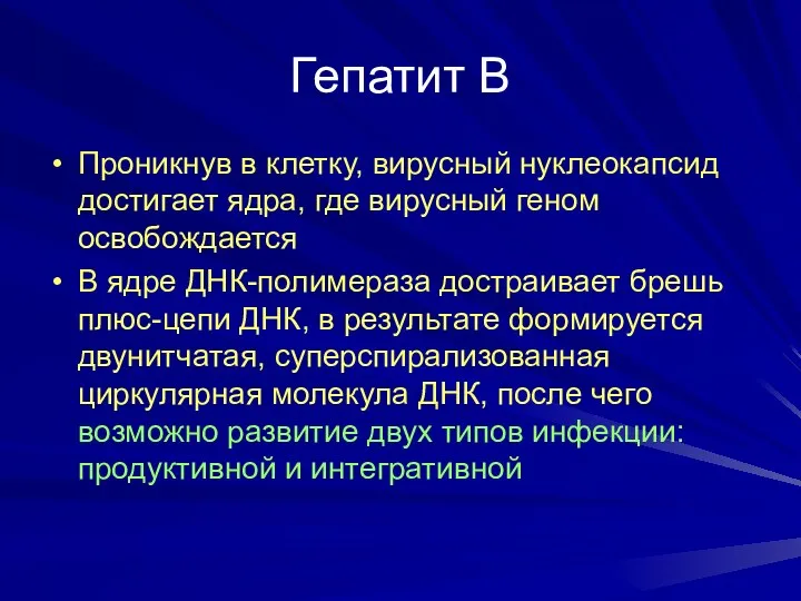 Гепатит В Проникнув в клетку, вирусный нуклеокапсид достигает ядра, где