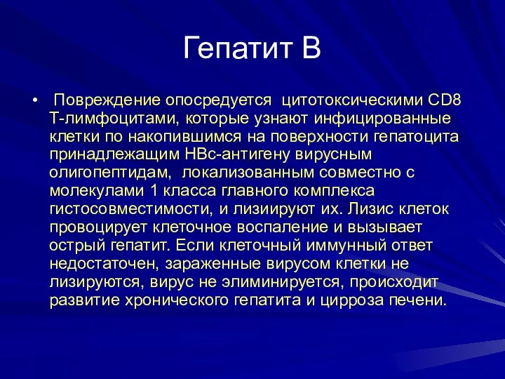 Гепатит В Повреждение опосредуется цитотоксическими CD8 Т-лимфоцитами, которые узнают инфицированные клетки по накопившимся