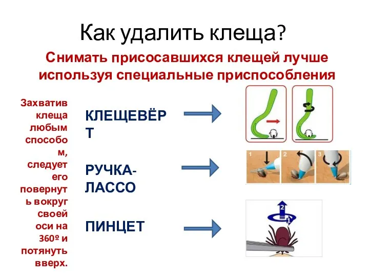 Как удалить клеща? Снимать присосавшихся клещей лучше используя специальные приспособления