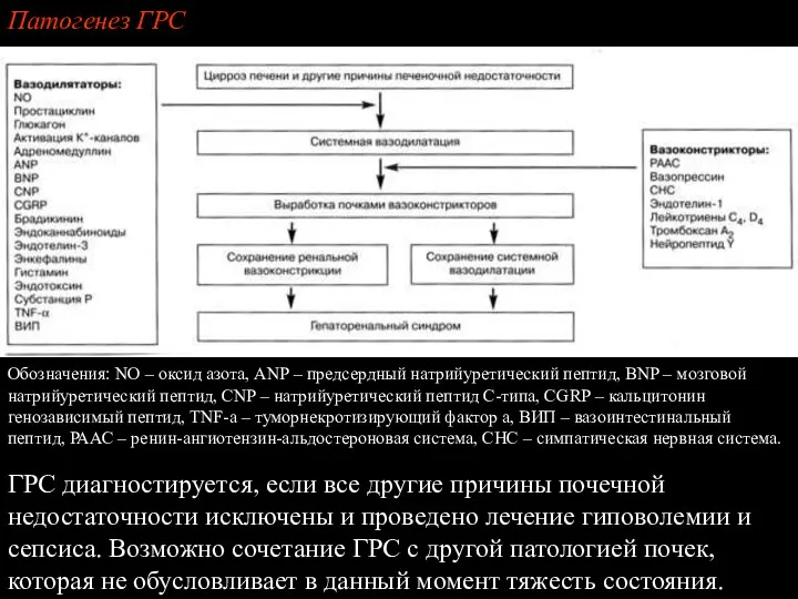 Обозначения: NO – оксид азота, ANP – предсердный натрийуретический пептид,