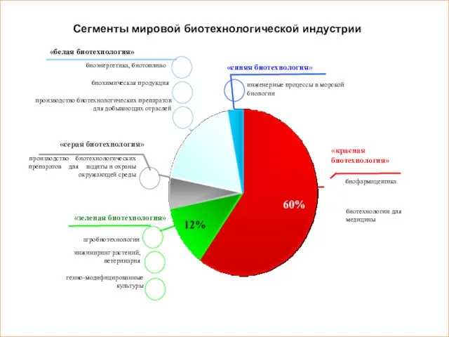 Сегменты мировой биотехнологической индустрии