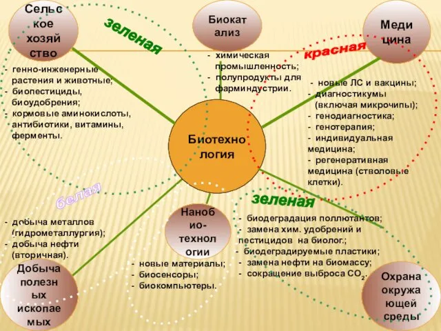 Биотехнология Сельское хозяйство Медицина Биокатализ Добыча полезных ископаемых Нанобио- технологии