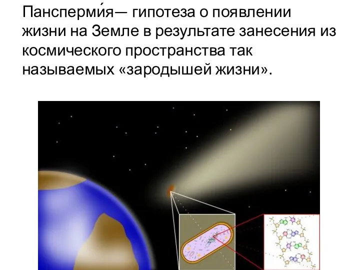 Пансперми́я— гипотеза о появлении жизни на Земле в результате занесения