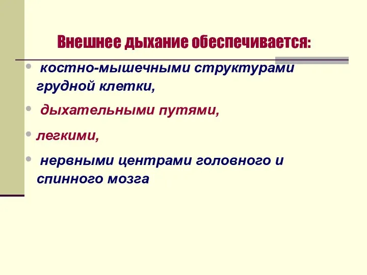 Внешнее дыхание обеспечивается: костно-мышечными структурами грудной клетки, дыхательными путями, легкими, нервными центрами головного и спинного мозга