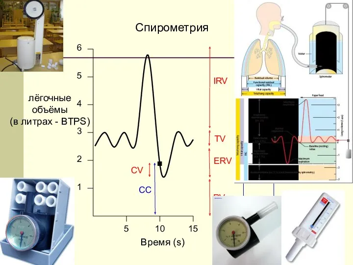 лёгочные объёмы (в литрах - BTPS) 5 6 4 3