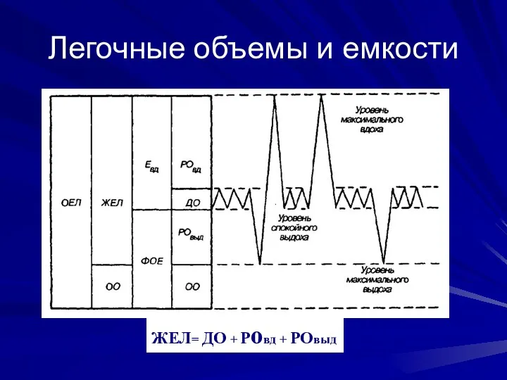 Легочные объемы и емкости ЖЕЛ= ДО + Ровд + РОвыд