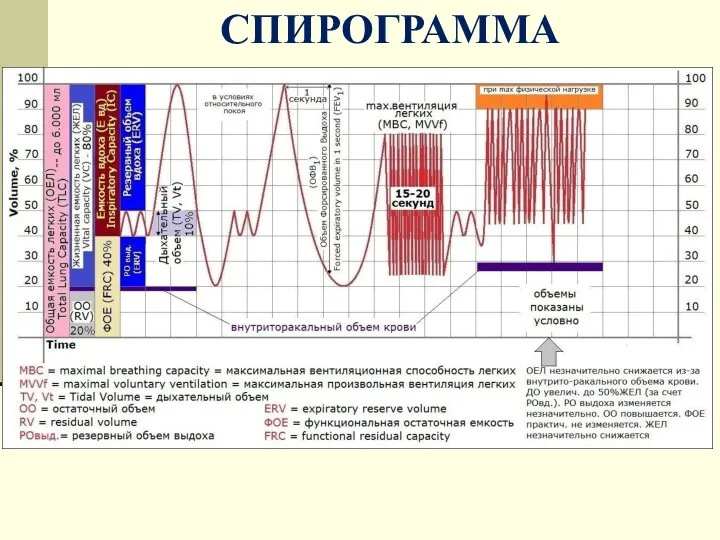 СПИРОГРАММА