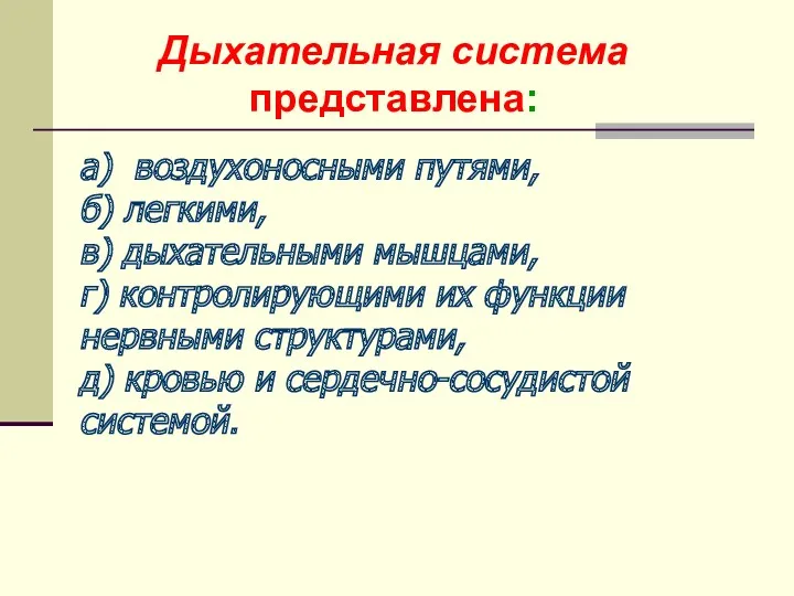 Дыхательная система представлена: а) воздухоносными путями, б) легкими, в) дыхательными