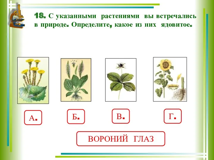 18. С указанными растениями вы встречались в природе. Определите, какое из них ядовитое.
