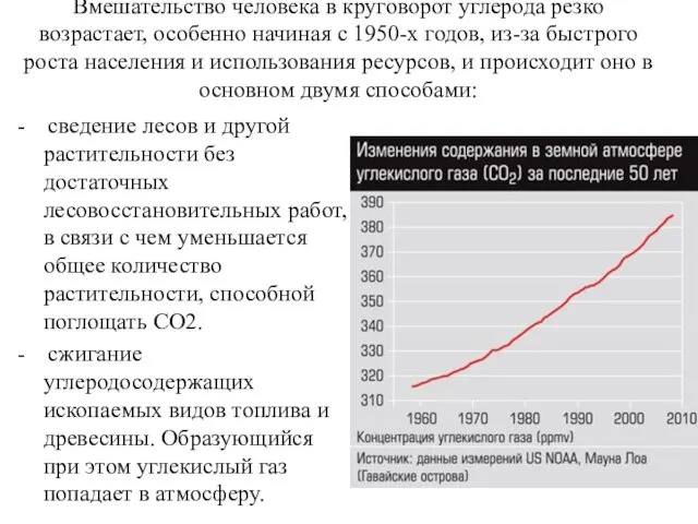 Вмешательство человека в круговорот углерода резко возрастает, особенно начиная с 1950-х годов, из-за