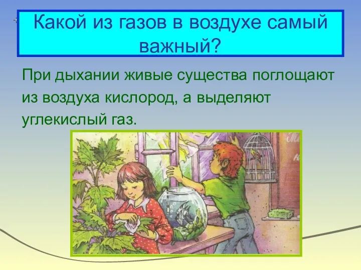 Какой из газов в воздухе самый важный? При дыхании живые