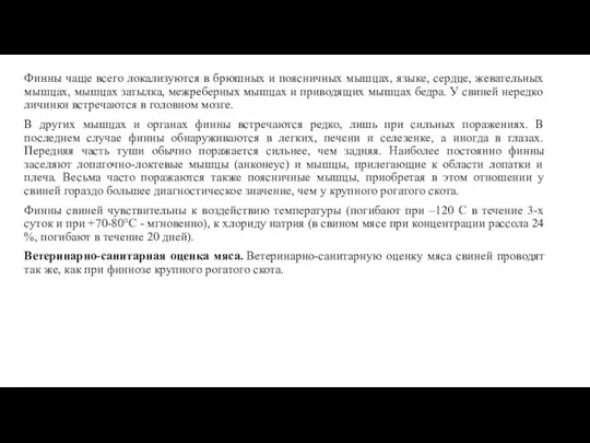 Финны чаще всего локализуются в брюшных и поясничных мышцах, языке,