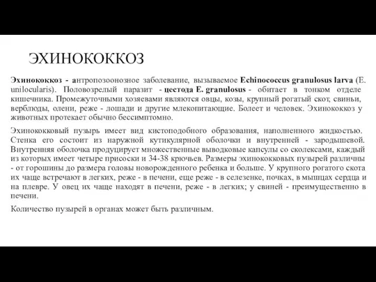 ЭХИНОКОККОЗ Эхинококкоз - антропозоонозное заболевание, вызываемое Echinococcus granulosus larva (E.